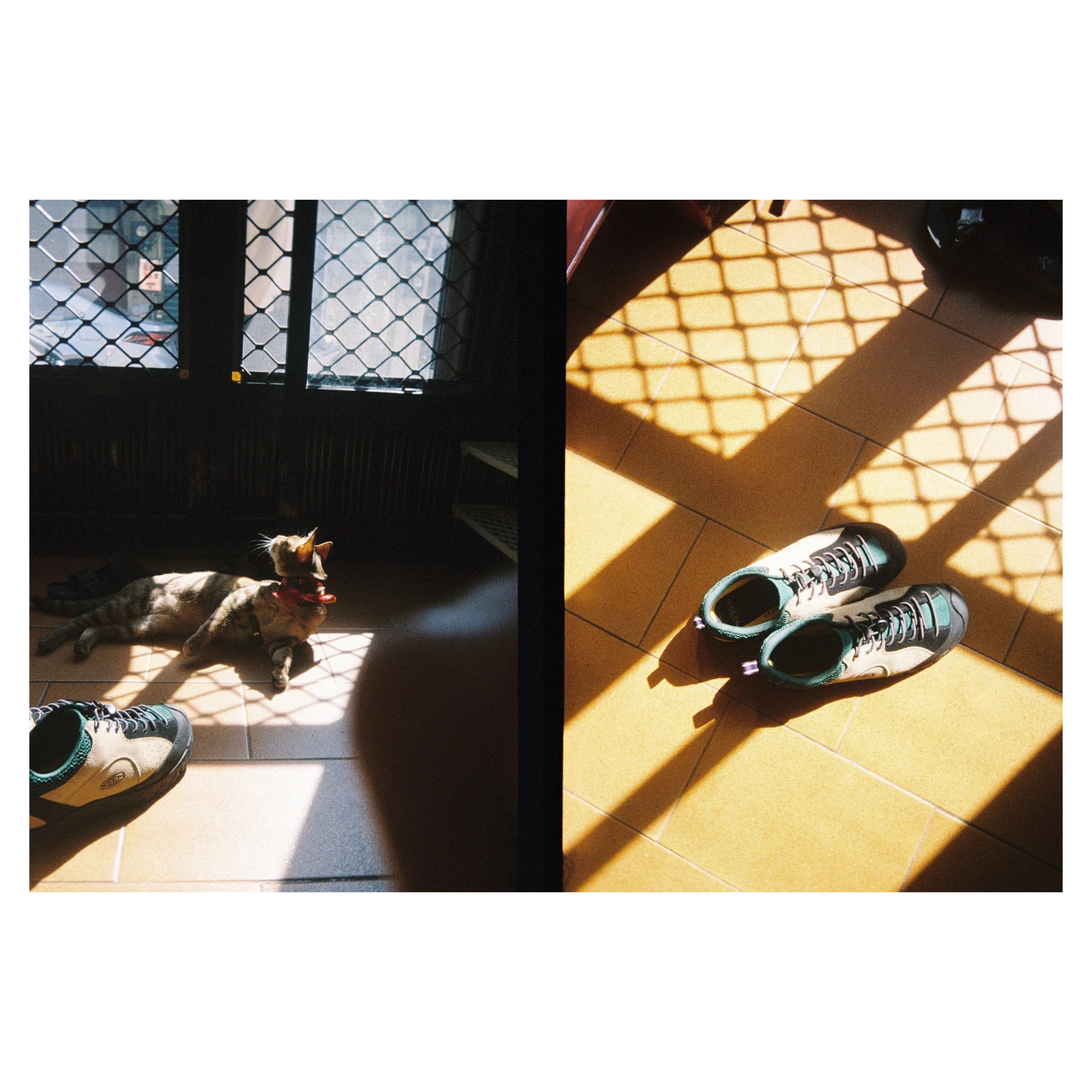 KODAK EKTAR H35<br/> Half Frame Film Camera<br/> Bundle with KODAK Ultramax400 24/exp Roll Film - Image 13